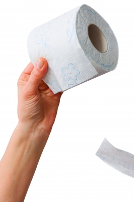 Toilet Paper Drama Game